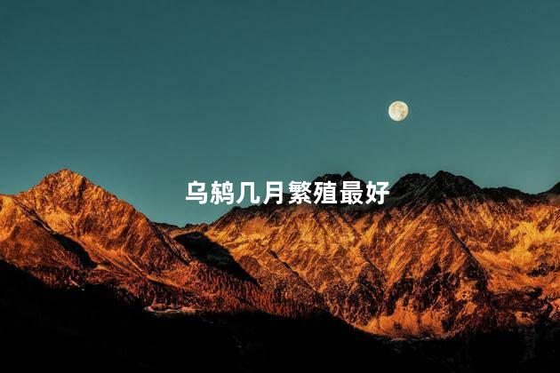 乌鸫几月繁殖最好