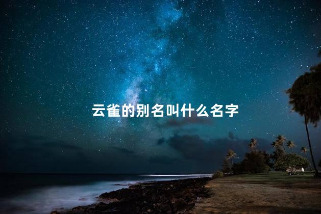 云雀的别名叫什么名字