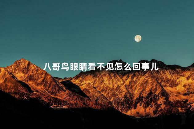 八哥鸟眼睛看不见怎么回事儿