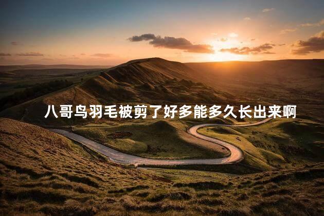 八哥鸟羽毛被剪了好多能多久长出来啊
