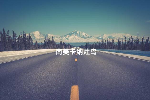 南美卡纳灶鸟