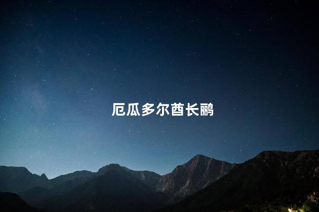厄瓜多尔酋长鹂