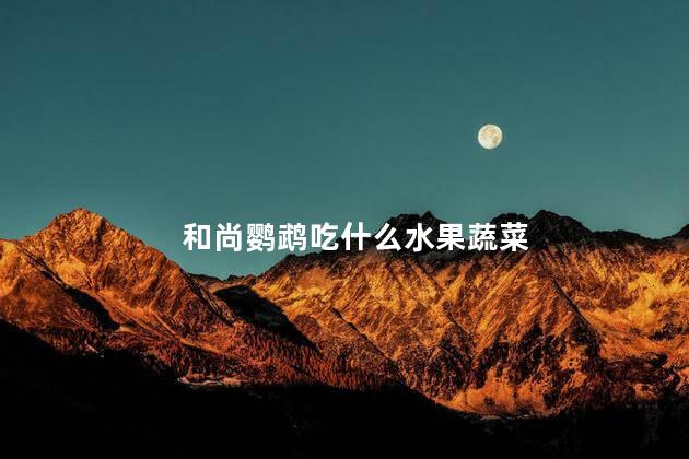 和尚鹦鹉吃什么水果蔬菜