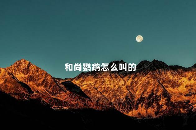 和尚鹦鹉怎么叫的