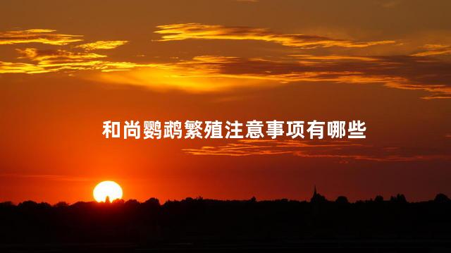 和尚鹦鹉繁殖注意事项有哪些