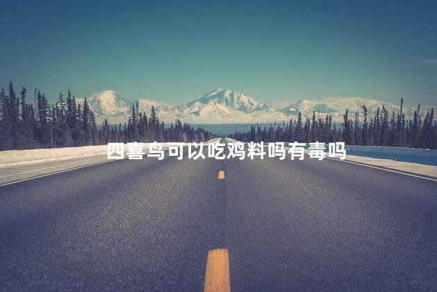 四喜鸟可以吃鸡料吗有毒吗
