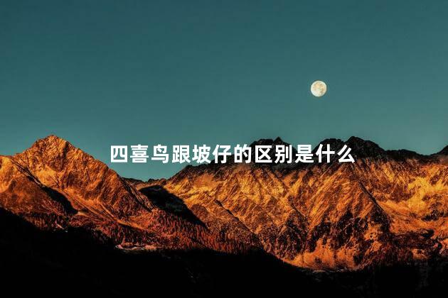 四喜鸟跟坡仔的区别是什么