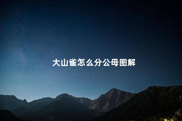 大山雀怎么分公母图解