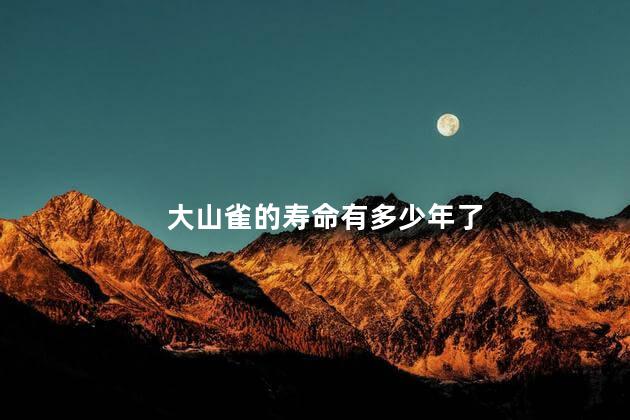 大山雀的寿命有多少年了