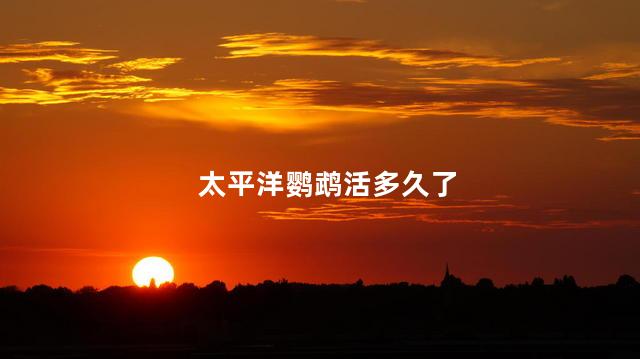 太平洋鹦鹉活多久了