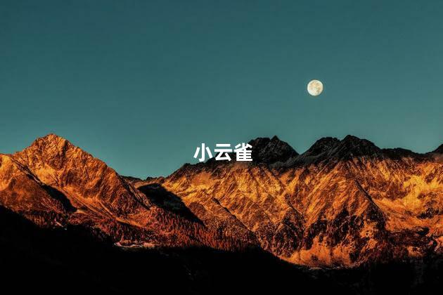 小云雀