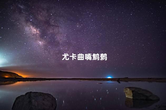 尤卡曲嘴鹪鹩