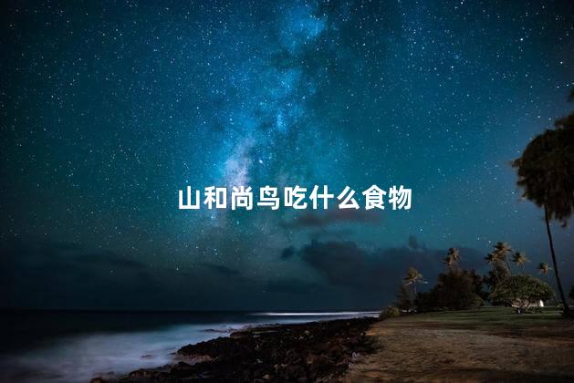 山和尚鸟吃什么食物