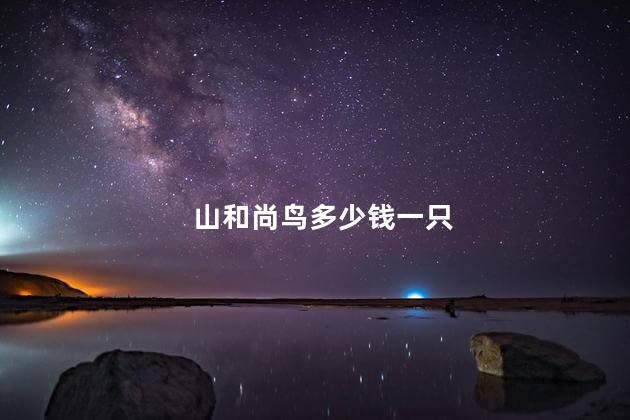 山和尚鸟多少钱一只