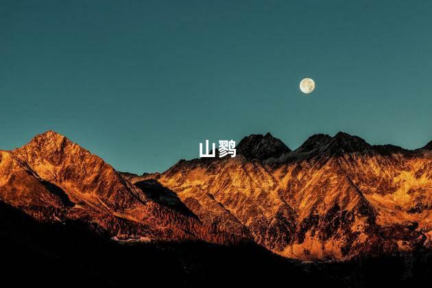 山鹨