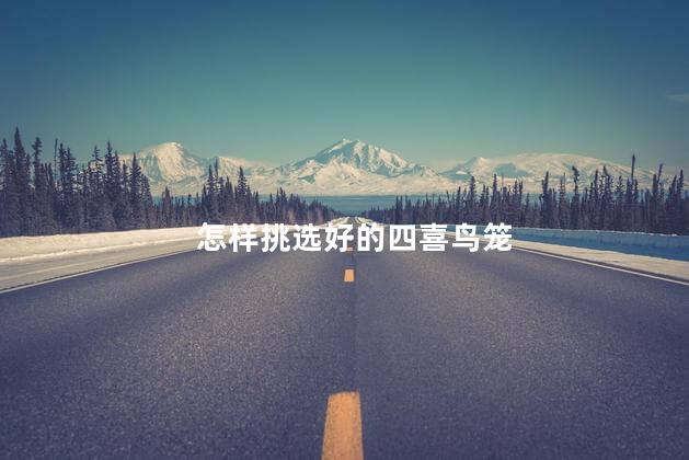 怎样挑选好的四喜鸟笼