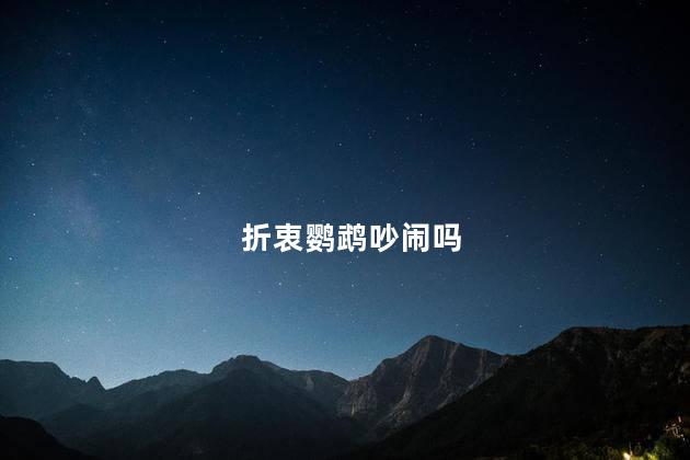 折衷鹦鹉吵闹吗