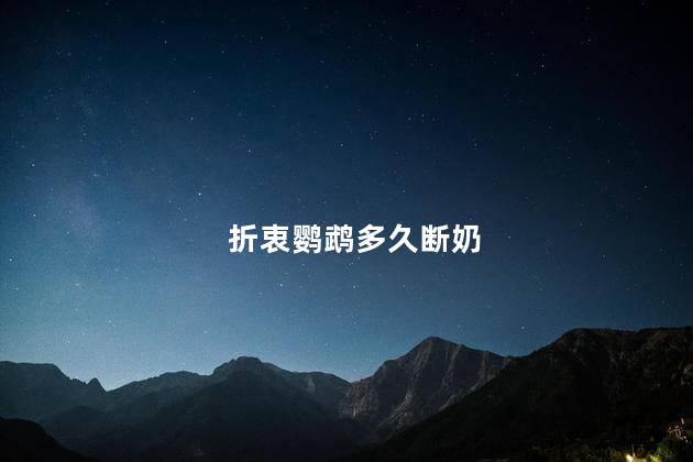 折衷鹦鹉多久断奶