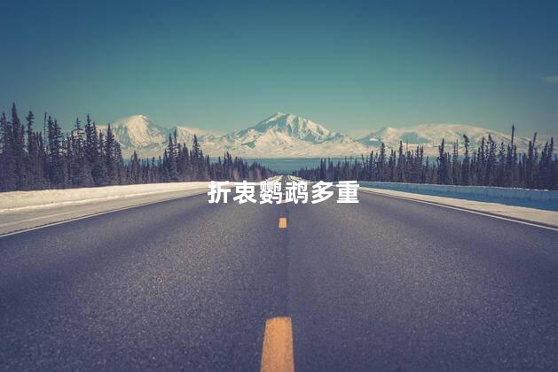折衷鹦鹉多重