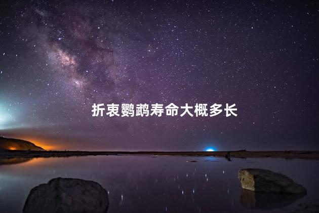折衷鹦鹉寿命大概多长