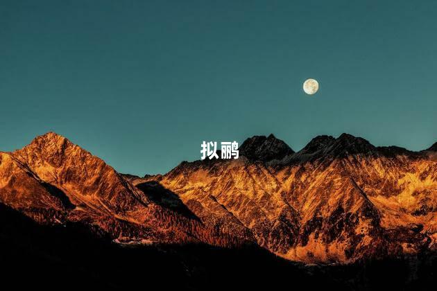 拟鹂