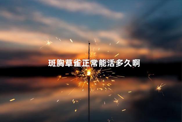 斑胸草雀正常能活多久啊