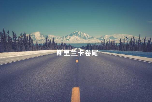 斯里兰卡卷尾