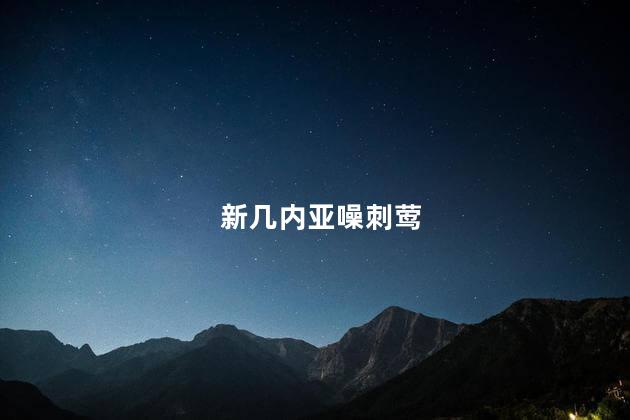 新几内亚噪刺莺