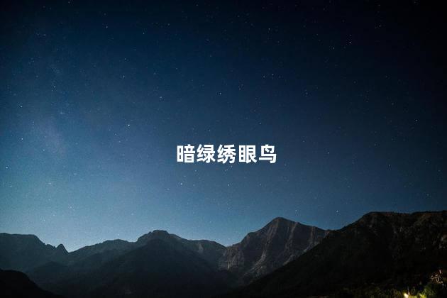 暗绿绣眼鸟