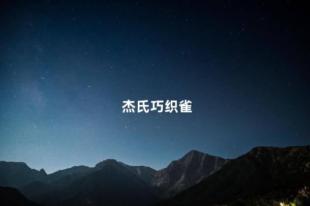 杰氏巧织雀