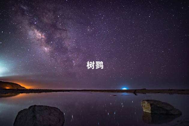 树鹨