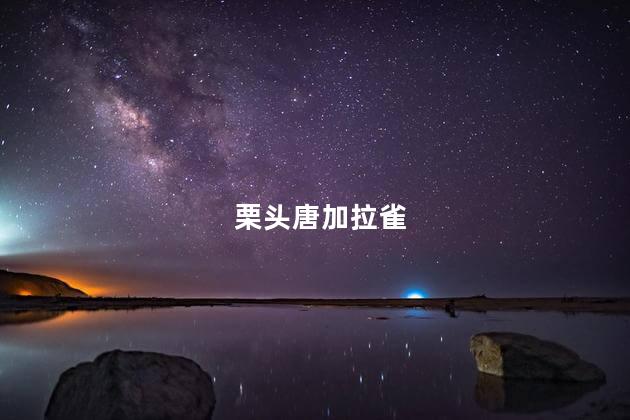 栗头唐加拉雀