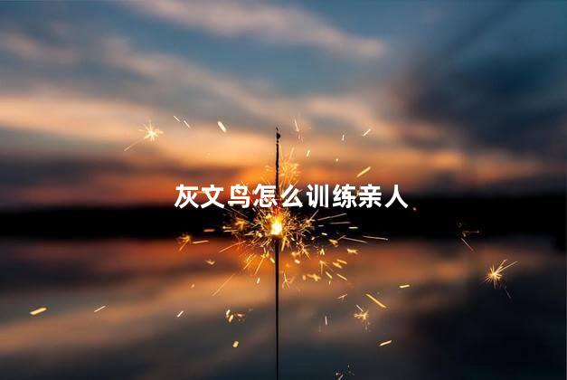 灰文鸟怎么训练亲人