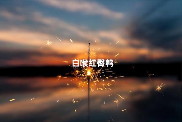 白喉红臀鹎