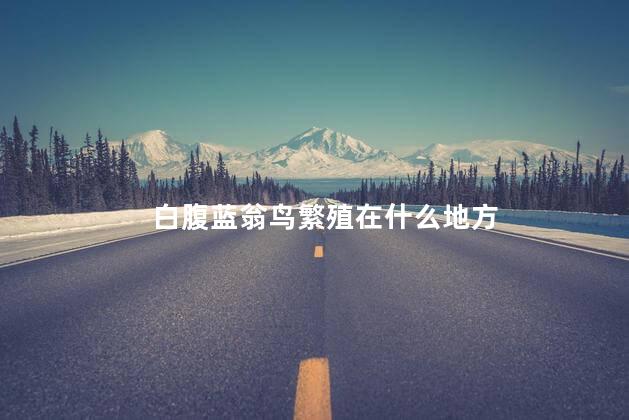 白腹蓝翁鸟繁殖在什么地方