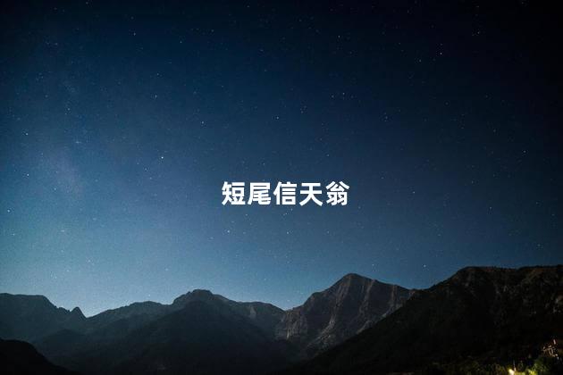 短尾信天翁