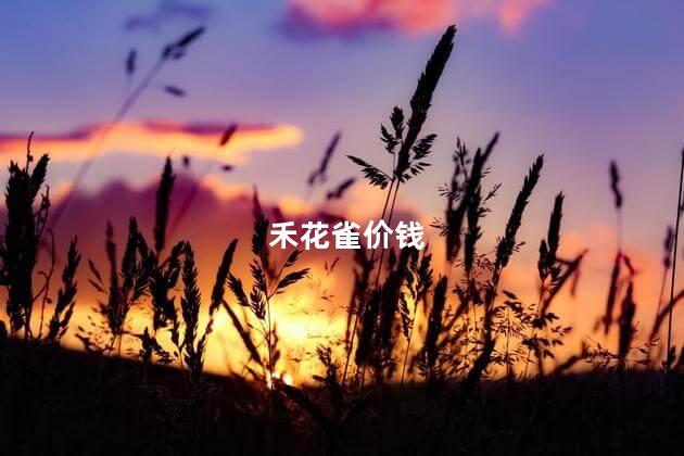 禾花雀价钱