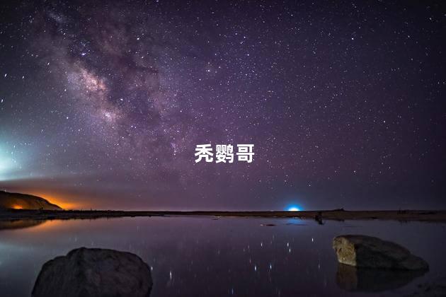 秃鹦哥