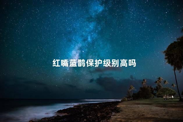 红嘴蓝鹊保护级别高吗