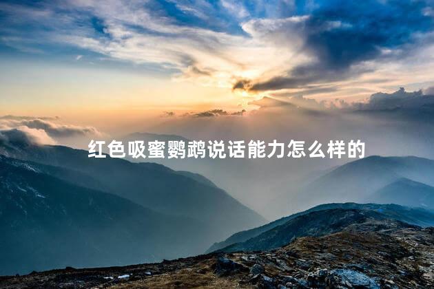 红色吸蜜鹦鹉说话能力怎么样的