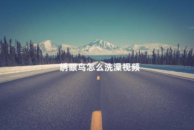 绣眼鸟怎么洗澡视频