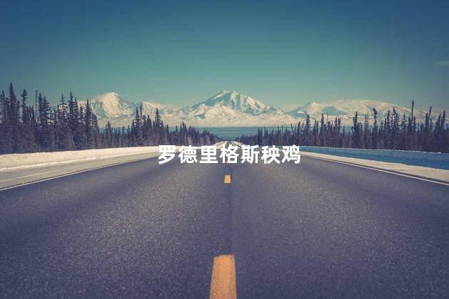 罗德里格斯秧鸡