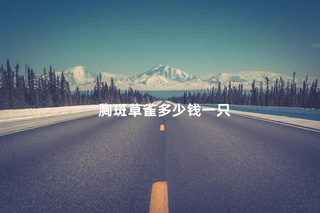 胸斑草雀多少钱一只