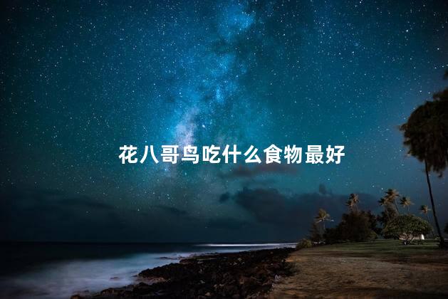 花八哥鸟吃什么食物最好