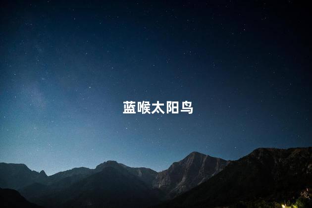 蓝喉太阳鸟