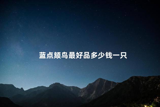 蓝点颏鸟最好品多少钱一只