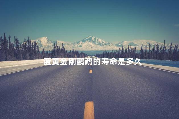 蓝黄金刚鹦鹉的寿命是多久