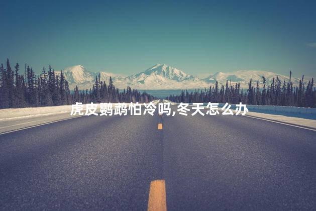 虎皮鹦鹉怕冷吗,冬天怎么办