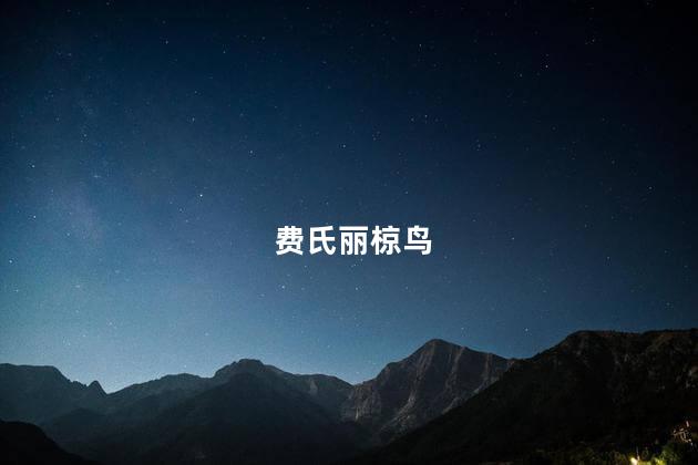 费氏丽椋鸟