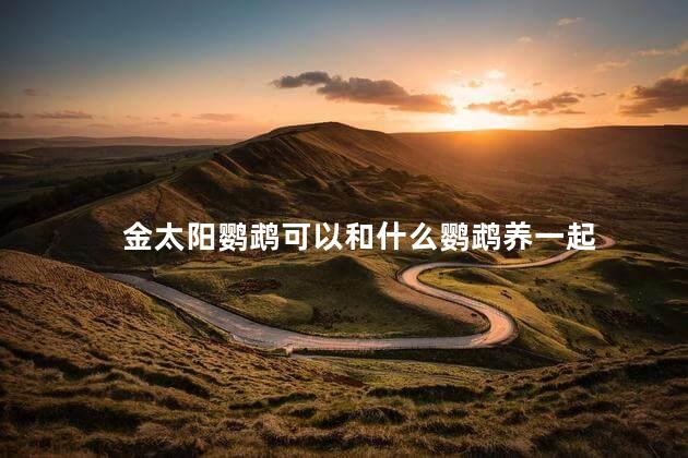 金太阳鹦鹉可以和什么鹦鹉养一起